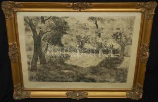 Biai-Föglein István (1905-1974): Erdei tisztás, rézkarc-papír, üvegezett keretben, 51x41cm