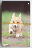 30db használt japán kutyás telefonkártya