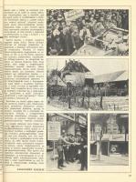 Glatz Ferenc: AZ 1944. év históriája - História évkönyv 1984, papírkötés