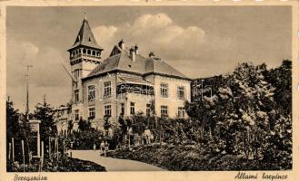 Beregszász wine cellar