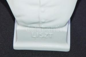 Liszt Ferenc Herendi porcelán mellszobra /
Herendi porcelain bust of Ferenc (Franz) Liszt 24x14x10cm