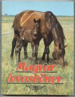 Magyar lovaskönyv. Szerk. Ernst József - Dr.Fehér Dezső - Dr. Ócsag Imre. Bp., 1988, Corvina/Natura. Rengeteg színes és fekete-fehér illusztrációval, kiadói egészvászon kötésben védőborítóval, hibátlan állapotban