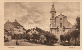 Freising (wet damage)