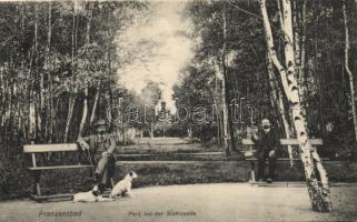 Frantiskovy Lázne fountain