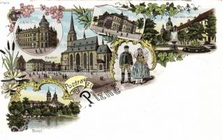 Plzen with post office and Sokol hall litho