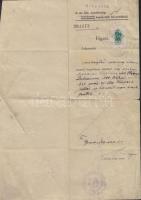 1910-1945 Vegyes papírtétel okmányokkal, képeslapokkal, családi és katonai fotókkal