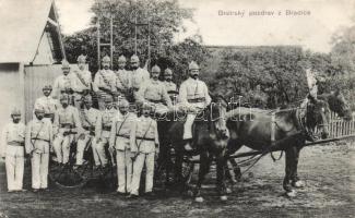 Bradlec voluntary firemen