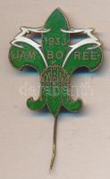 1933. "Jamboree" zöld-fehér zománcozott cserkész jelvény T:2