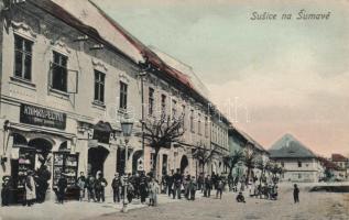 Susice na Sumave with the bookshop of Vaclav Kostalek