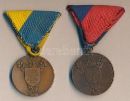 Nyitray Dániel (1890-1971) 1921. "A Magyar Athletikai Szövetség Északi Kerülete" Br emléké...