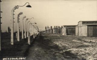 Brzezinka Auschwitz-Birkenau concentration camp photo