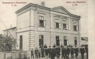 Vashkivtsi / Waszkowce Polish house