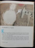 Cerna-Novák: Az eladott álom, Japán mesék. BRatislava, 1979. Madách. sok szép illusztrációval 190p