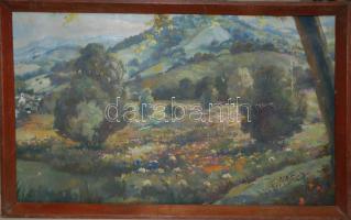 Nagy J. jelzéssel: Virágos domboldal, olaj-vászon, keretben 60x38cm