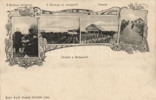 Kecel, Burtanya, szőlős, tulajdonosok