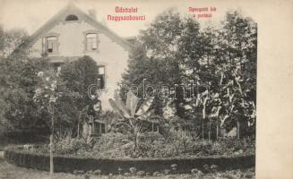 Nagyszabos Director's house