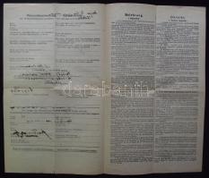 1919 Tanácsköztársaság Szabadságigazolvány Seregély Dezső alezredes részére