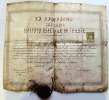 1883 A Trieszti Bábaképző Intézet díszes végbizonyítványa, fémdobozos függő viaszpecséttel. (repedt), magyar nyelvű kihirdetésekkel /, 1883 Triest Midwife School document with hanging wax-seal (cracked) in metal case 40x32 cm