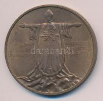 Kiss György (1943-) 1991. "II.János Pál pápa látogatása - Esztergom" Br emlékérem (42mm) T...