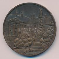 Bogár Lívia (1957-) 1984. "Soproni Városszépítő Egyesület" Br emlékérem (49mm/61g) T:2