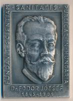 1965. "Országos Közegészségügyi Intézet Budapest / Dr. Fodor József" szögletes emlékplakett (48x58mm) T:2