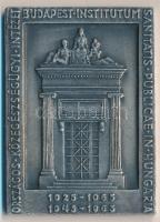 1965. "Országos Közegészségügyi Intézet Budapest / Dr. Fodor József" szögletes emlékplaket...