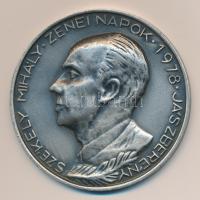 1978. "Székely Mihály Zenei Napok 1978 Jászberény" fém plakett (60mm) T:2