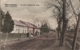 Kápolnásnyék Wesseli Zsigmond háza (Rb)