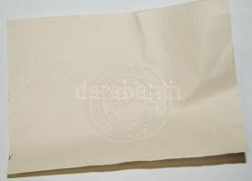 E. M. Ferrari New jersey Corporate Seal szárazbélyegző / Dry-seal