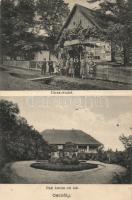 Gacsály Groza József kereskedése és Paál István úri lakja