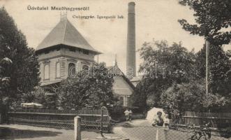 Mezőhegyes cukorgyár, igazgatói lak