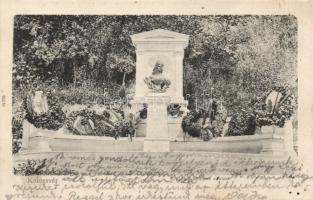 Kolozsvár Sissi, Erzsébet statue