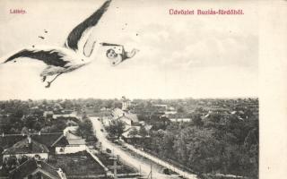 Buziásfürdő, stork