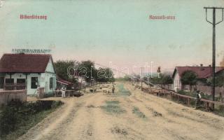 Bihardiószeg Kossuth street, the timber shop of Fischer & Wollner (EK)