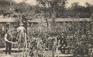 Pankota the beekeeping farm of István Szabó (EK)