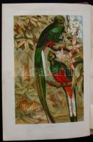 Brehms, Alfred E.: Tierleben. 2. Band. Vögel. / Madarak. Leipzig und Wien 1891. 710p. félbőr kötésbe...