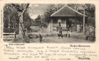 Modor-Harmónia forestry office, aqueduct