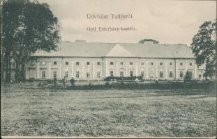 Tallós Esterházy castle