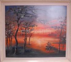 Orsovai Valéria (1943-): Tópart a naplementében, olaj-farost, jelzett 50x60cm, keretben
