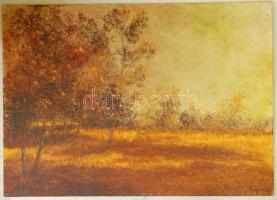 Losonci Lilla (1930-): Tisztás ősszel, olaj-farost, jelzett 50x70cm