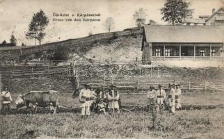 Kárpátok shepherds