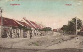 Nagykanizsa Teleky út