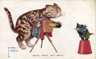 Photographer cat, s: Lawson Wood