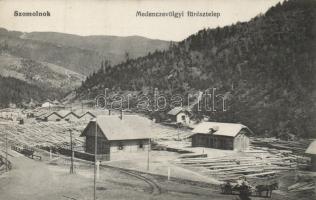 Szomolnok Medenczevölgy sawmill