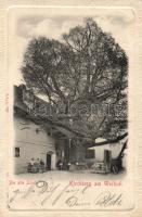 Kirchberg am Wechsel Restaurant zur Linde