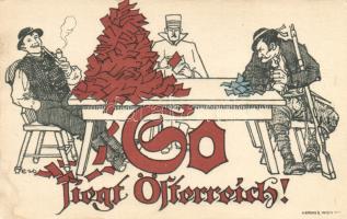 Sopron, Burgenland propaganda (fl)