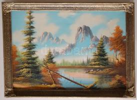 Jelzés nélkül,Tájkép,olaj,vászon 70×50 cm. Szép igényes keretben.