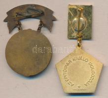 ~1970. "Az Építőipar Kiváló Dolgozója" Br és zománcozott kitüntetések T:2