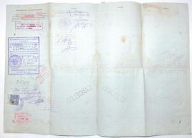 1924 Amerikába kivándorolt magyar férfi fényképes útlevele