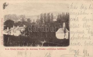 Szöllőske Andrássy szőlőtelep